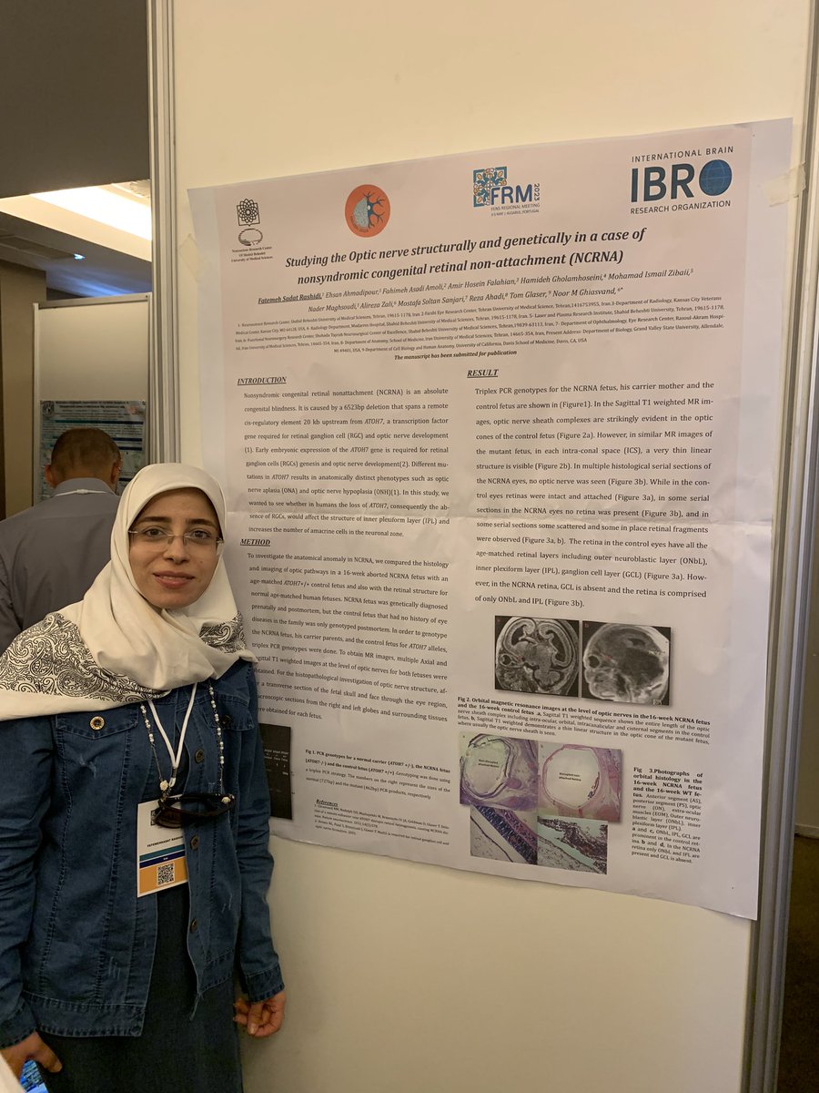 If you are at #FRM2023, come and check out IBRO Travel Grant awardee Fatemehsadat Rashidi’s poster 😃