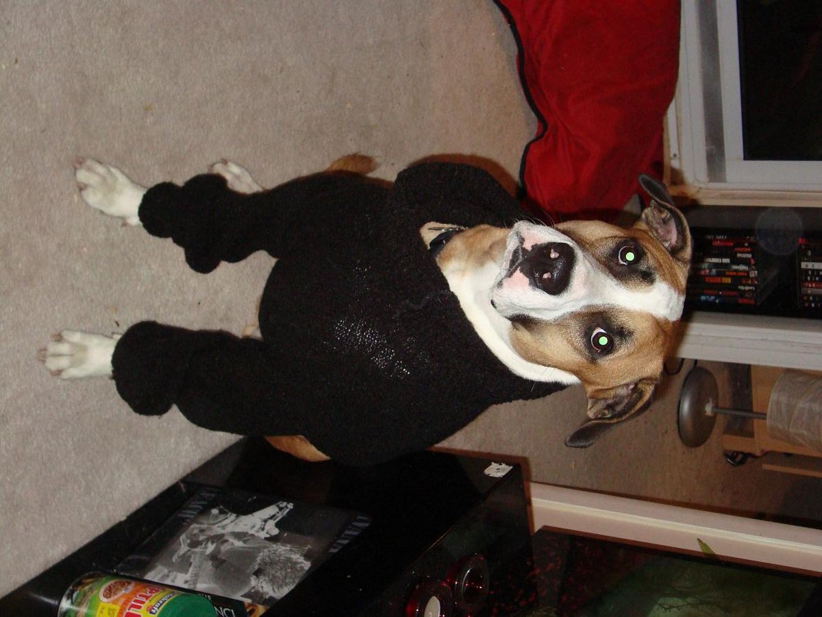 Trying on a new outfit! Does it make me look handsome?