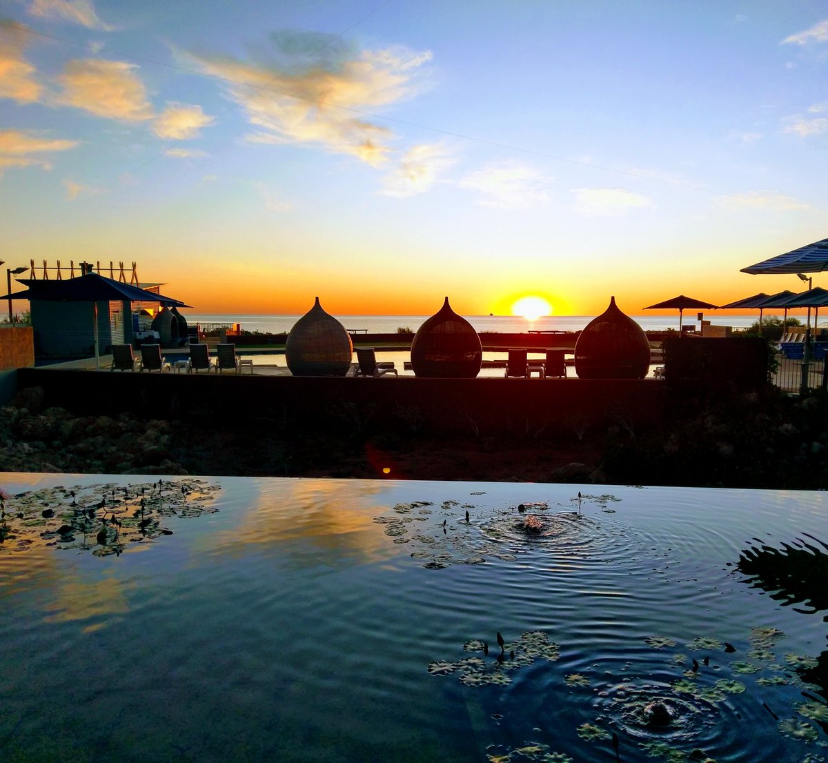 Patricia Maunder tweet media