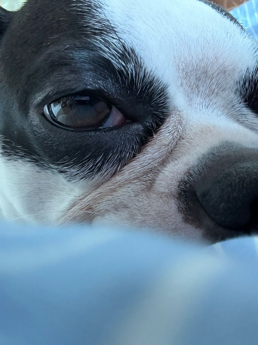 Esa mirada que juzga.....