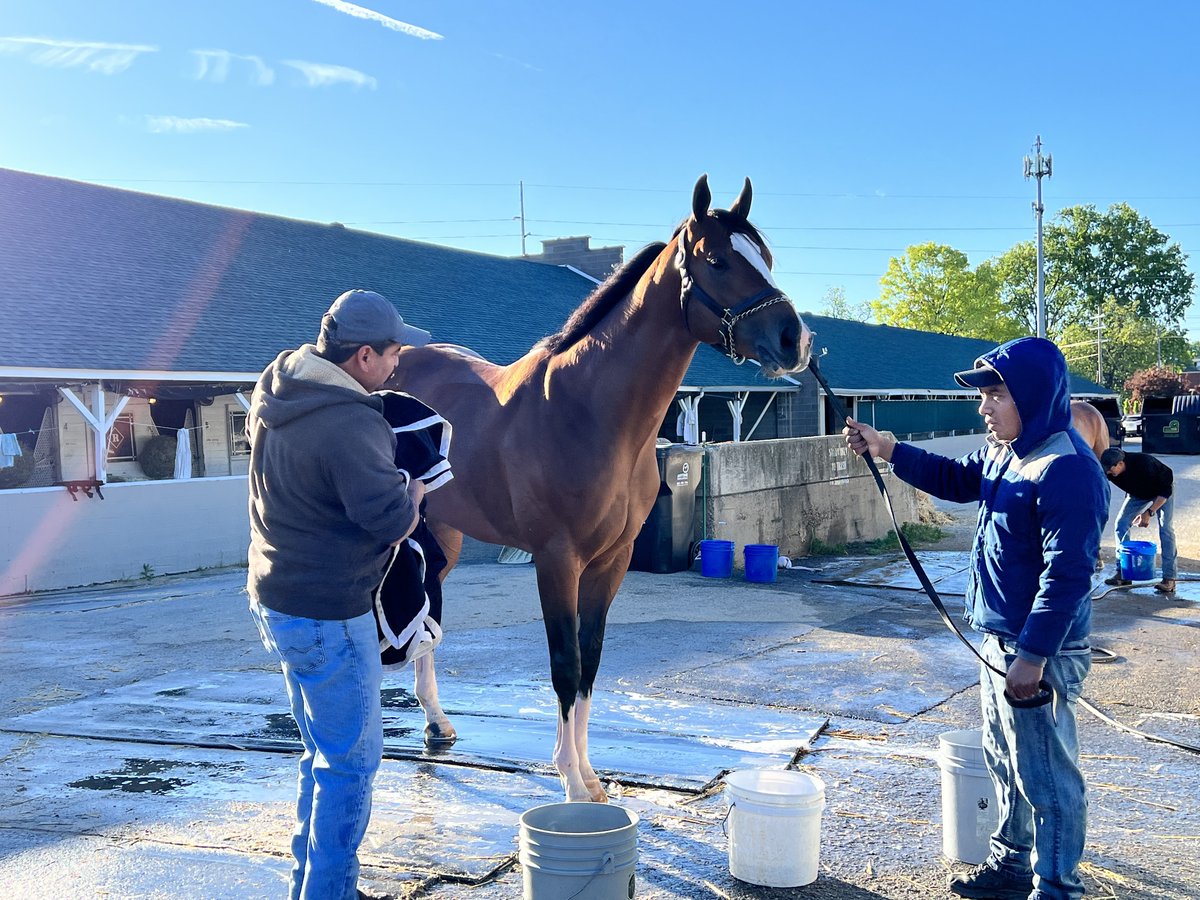 hatrat's tweet photo. Another brisk morning at @ChurchillDowns happy to have met @RealBackstretch #KYDerby &amp; #KYOaks contenders/hopefuls 🐎#CycloneMischief 🌹 #HitShow 🌹#JuliaShining 🌸 #Taxed 🌸 #TeamCox @PletcherRacing @bradcoxracing @Romansracing #RandyMorseRacing @KentuckyDerby https://t.co/aWE3bgfxlh