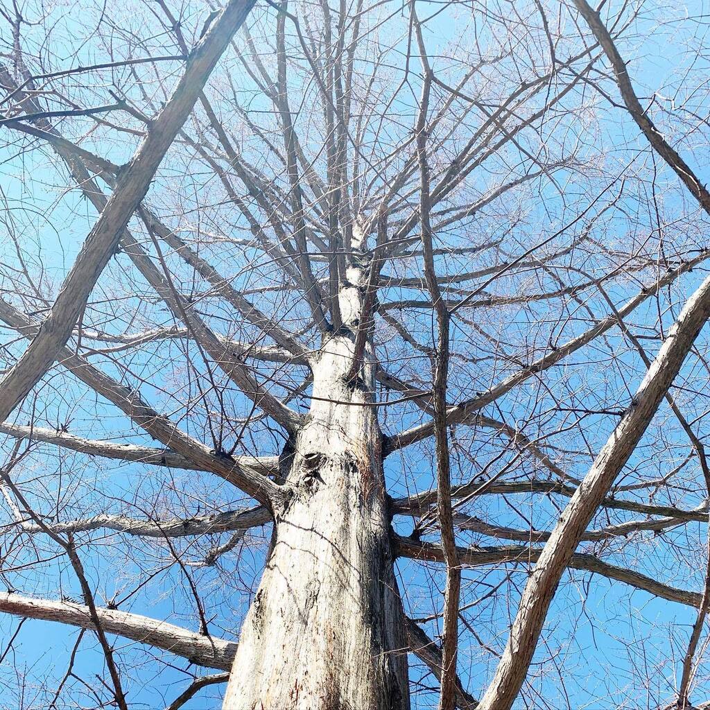 adropofom's tweet photo. A lot of us are choosing the discomfort of spiritual growth over the discomfort of sufferingin these times. Rooting yourself in your body is not for the faint of heart. So I salute you my fellow #spiritualwarriors. We seem to find each other across time … https://t.co/UA8wu9DA6j https://t.co/Xcp3VduYXt