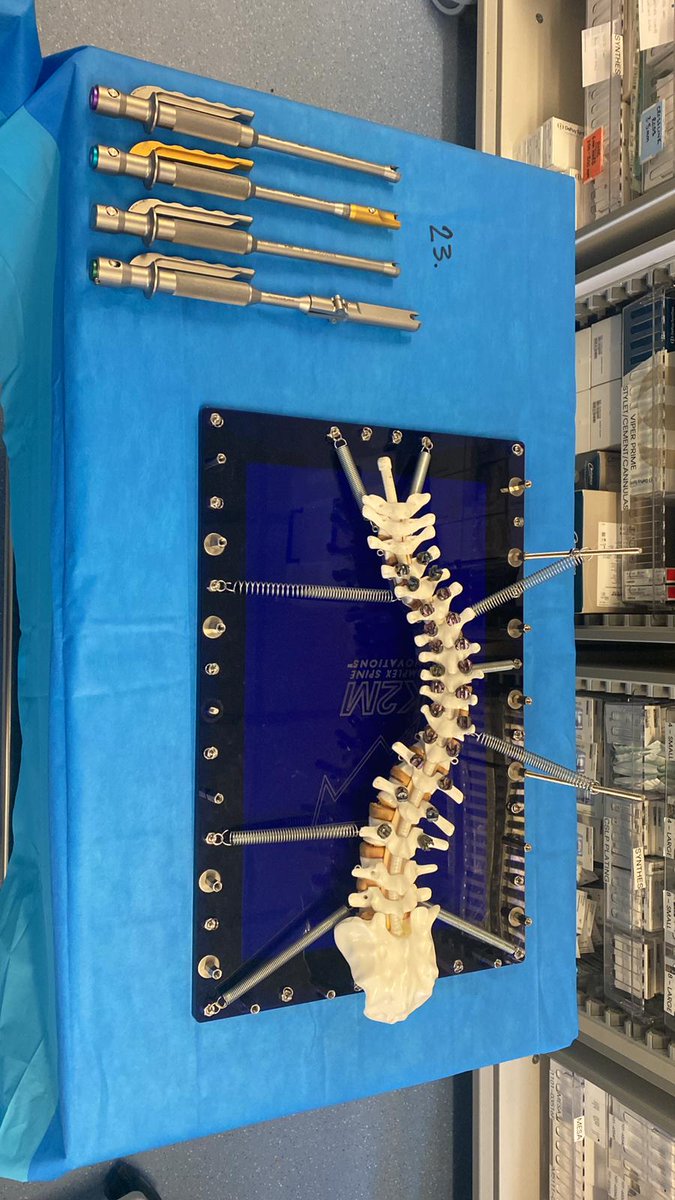 Sarah Whitbourn tweet media