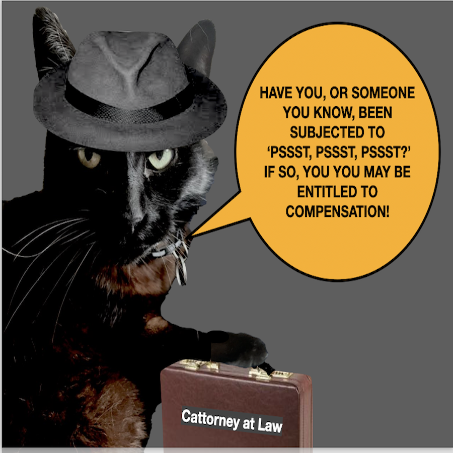 thebroncohammer's tweet photo. CATTORNEY AT LAW! Call 1-555-MEOW to learn if you too should be compensated! #cat #blackcat #noir #attorney#legal #law #barassociation #catdetective #attorney #lawfirm #habeuscorpus #expostfacto #corpusdelicious https://t.co/oYWy6juYTo