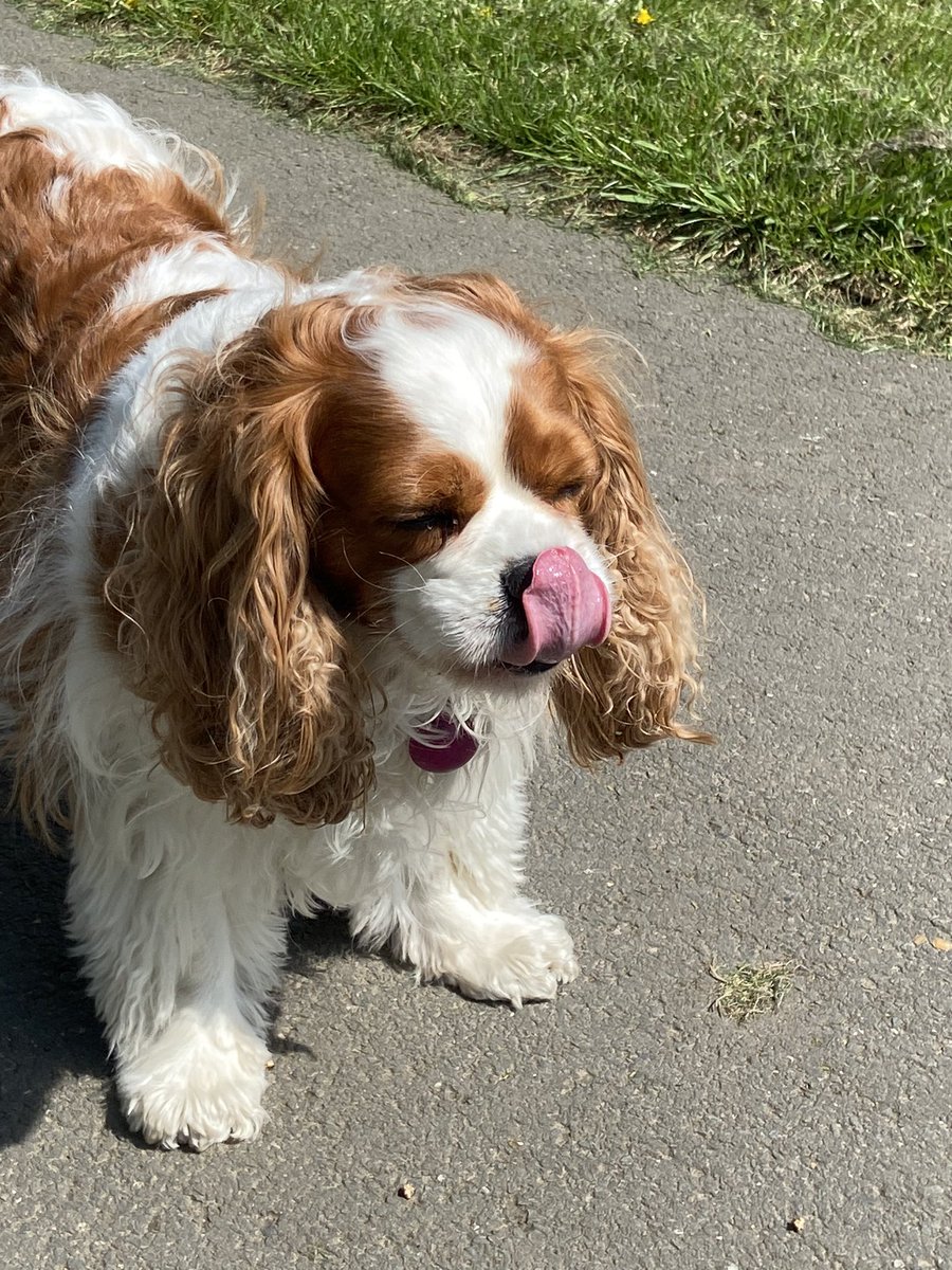 Emily Glenister tweet media