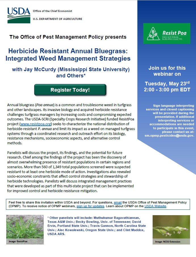 USDA-SCRI Annual Bluegrass Collective tweet media