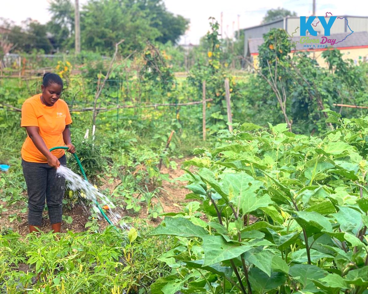 Americana World Community Center tweet media