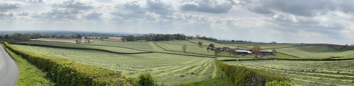 Sam Hugill (@samhugill2) on Twitter photo Got to love this time of year! <a href="/ArlaDairyUK/">Arla Dairy UK</a> <a href="/The_Grassmen/">GRASSMEN</a> <a href="/Hutchinsons_Ag/">Hutchinsons</a> <a href="/omniauk/">Omnia Digital Farming</a> busy week ahead 😅😎 Got to love this time of year! <a href="/ArlaDairyUK/">Arla Dairy UK</a> <a href="/The_Grassmen/">GRASSMEN</a> <a href="/Hutchinsons_Ag/">Hutchinsons</a> <a href="/omniauk/">Omnia Digital Farming</a> busy week ahead 😅😎