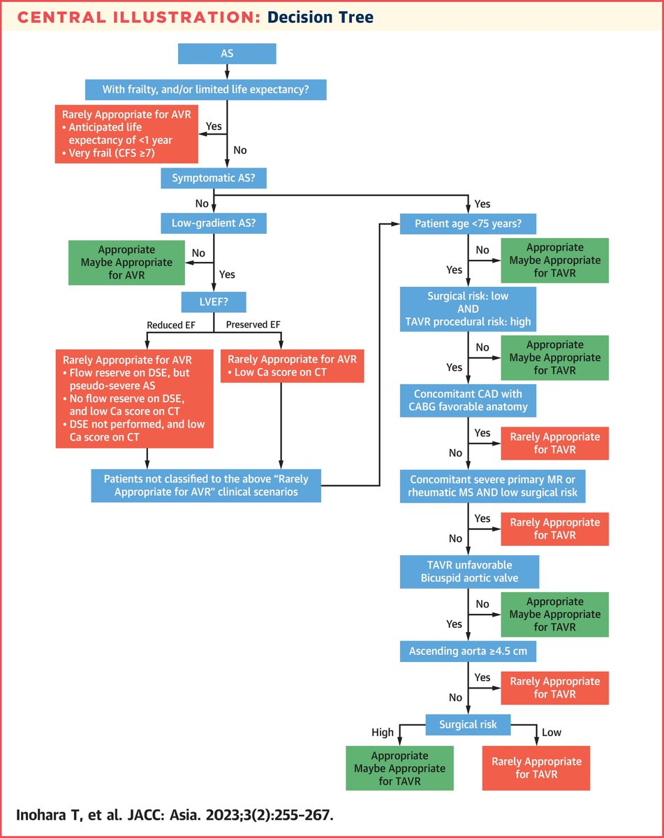 Appropriate Use Criteria for the Management of Aortic Stenosis | Insight From the Japanese Expert Panel 

@jaccjournals #JACCAsia #CardioTwitter #MustRead 

jacc.org/doi/10.1016/j.…