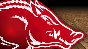 ARHoopScoop's tweet photo. Arkansas has contacted NDakota St jr-transfer Grant Nelson (6-11 F) ... avg. 17.9 pts, 9.3 rbs, 2.1 asts, 1.7 blks, 30.6 mins, 52.1% FG, 26.9% 3FG, 72.0% FT ... All Summit League 1st team ... had 17p, 6r, 1b in 76-58 loss @ Arkansas in '22-23 szn opener ... also in NBA Draft pool https://t.co/ExMnVCINMV