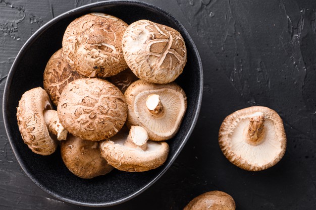 🤔¿Cuánto sabes sobre setas? 👉🏻Ponte a prueba con este pequeño juego. ¿Te atreves?😉Venga, ¡claro que sí!💪🏻
📢¿Qué seta de cultivo aparece en la foto?👇🏻
Te damos 3️⃣ opciones:
🍄Champiñón
🍄Enoki
🍄Shiitake
⌛Mañana resolvemos este enigma micológico😉
#QuizOfTheDay