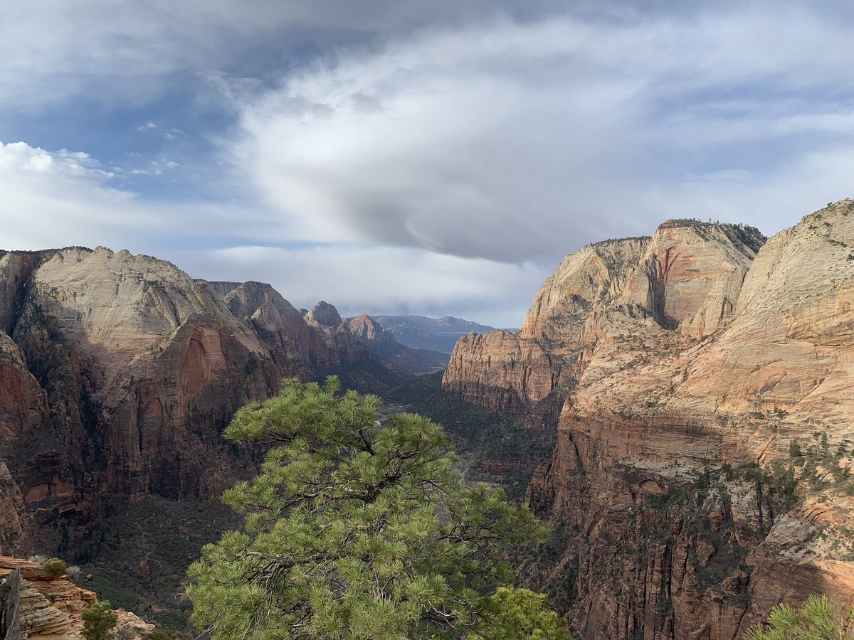 EasyGoingMC's tweet photo. @realcouri Top of Angels Landing in Zion https://t.co/hoRDRQ5xHD