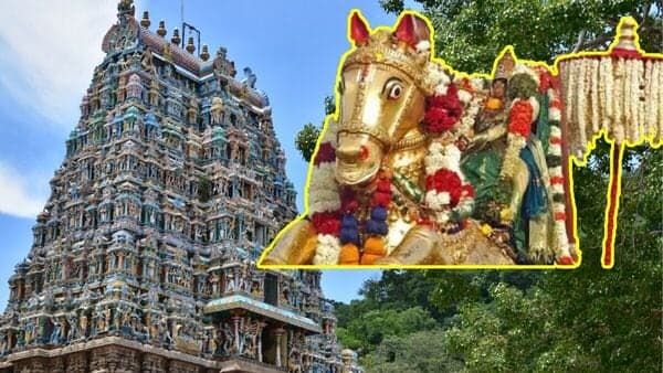 itzGunaa's tweet image. இன்று மாலை 7 மணிக்கு
அழகர்கோவிலில் இருந்து கள்ளழகராக மதுரைக்கு வரும் அழகர் பல்லக்கில் புறப்பட்டார் 🙏🏼🙏🏼

சித்ரா பவுர்ணமி நாளில் வைகை ஆற்றில் எழுந்தருள வாராரு வாராரு அழகர் வாராரு 🙏🏼🔥

#Kallazhagar 🙏🏼🙏🏼🙏🏼
#Madurai  #VaigaiRiver
#ChithiraiThiruvizha2023
#chithiraithiruvila