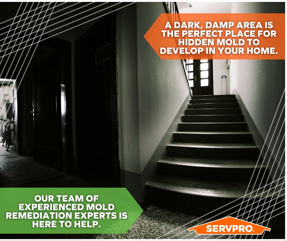 ServproPortJeff's tweet photo. Many areas in your home can make a great home for hidden mold to grow and thrive. Our team is Here to Help! Just call (631) 476-5300 for assistance.
#CallSERVPRO #Mold https://t.co/ow0plrwXnV