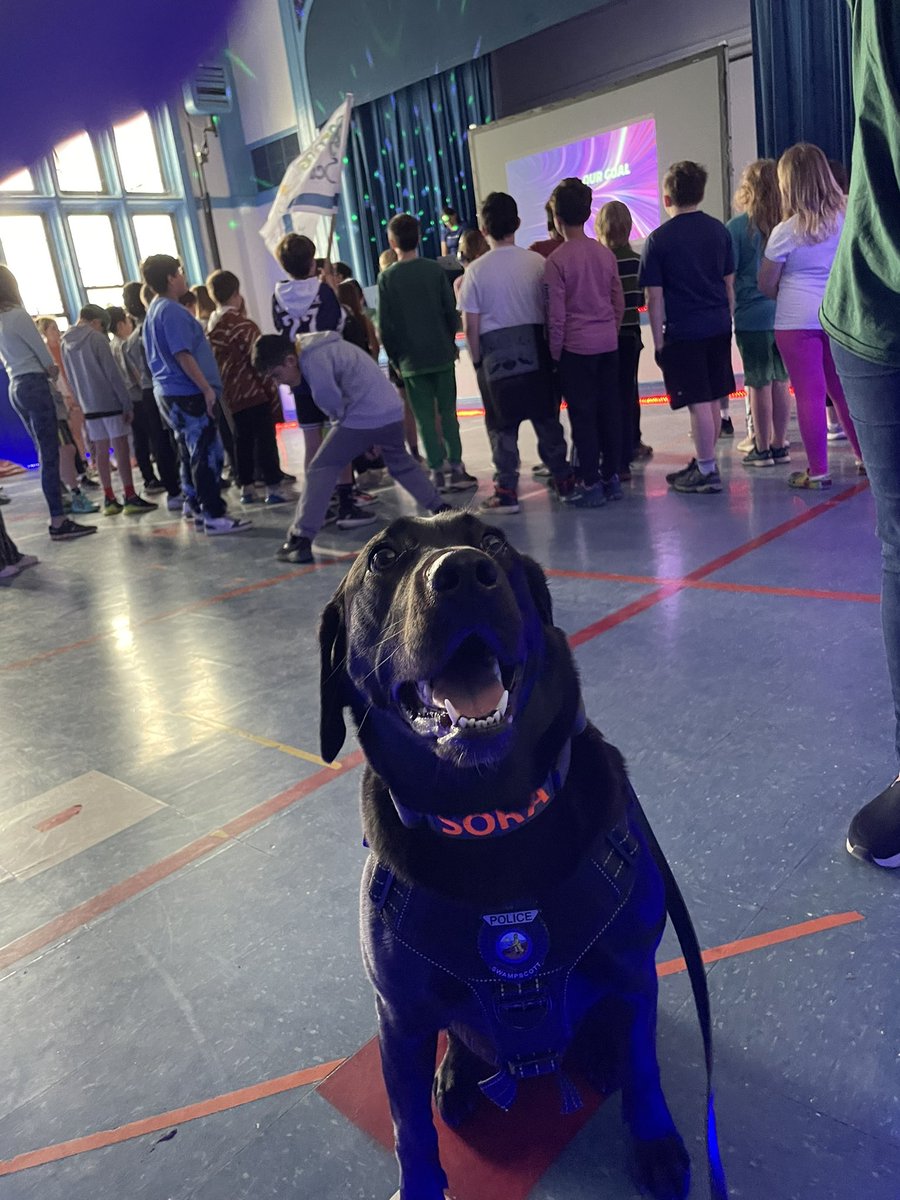 HadleySPS's tweet photo. Sora joining in on the dance fun! https://t.co/iu88JfFLjV