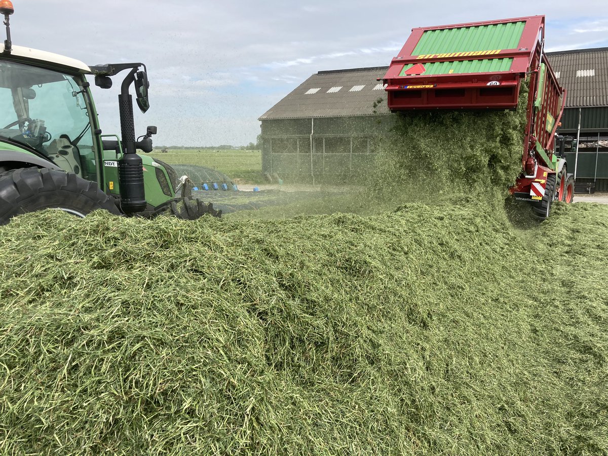SjondeLeeuw's tweet photo. Hoe gaat het gras de kuil in? Het weer werkt prima mee en met dit gras heb je maar 1 Doel, namelijk maximale #eiwitbenutting zien te halen. Dus #Droog de kuil in. Hoe droog en hoe Kort dan? Zie bijlage. Succes allemaal. https://t.co/fIb3EkQCRK
