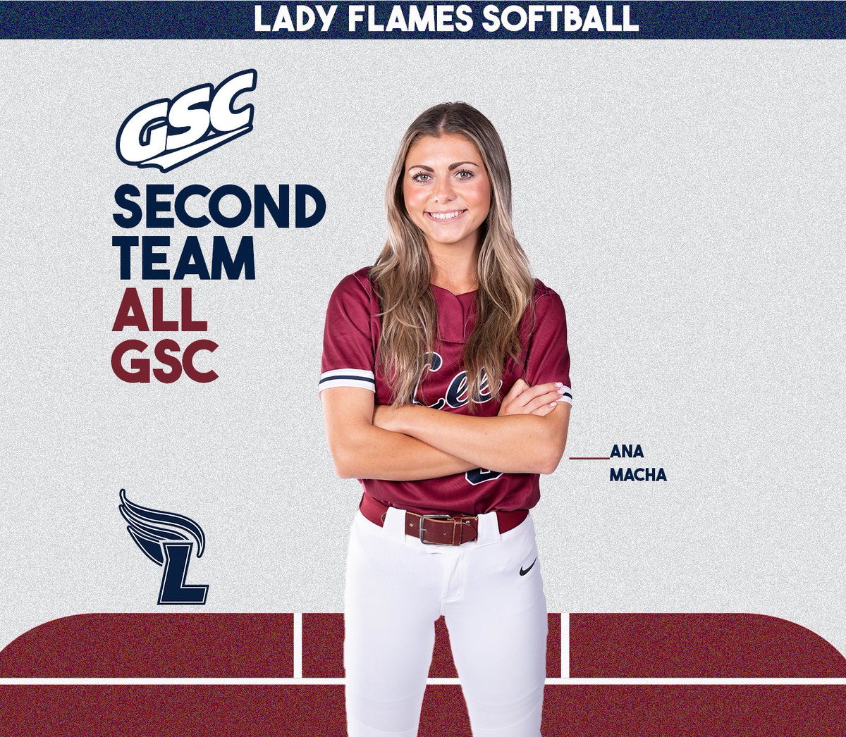 LeeUSoftball tweet picture
