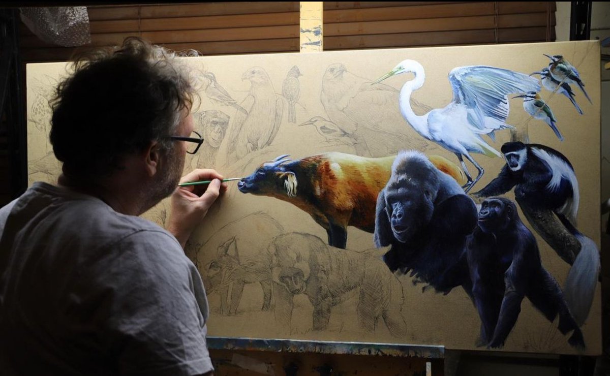 In anticipation of his Cameroon trip, Australian wildlife artist Jason Roberts has been working on a ‘montage’ painting some of this amazing country’s wildlife.  #theendangeredproject #gorilla #colobusmonkey #congobuffalo #greategret #beeeaters #wildlifeart