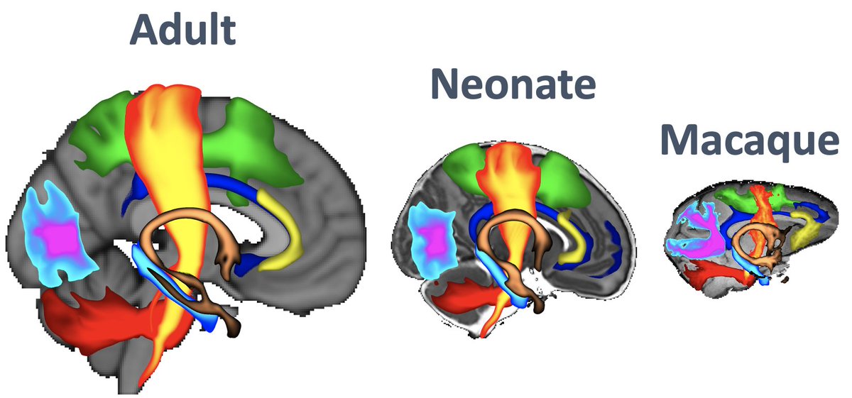 Shaun Warrington tweet media