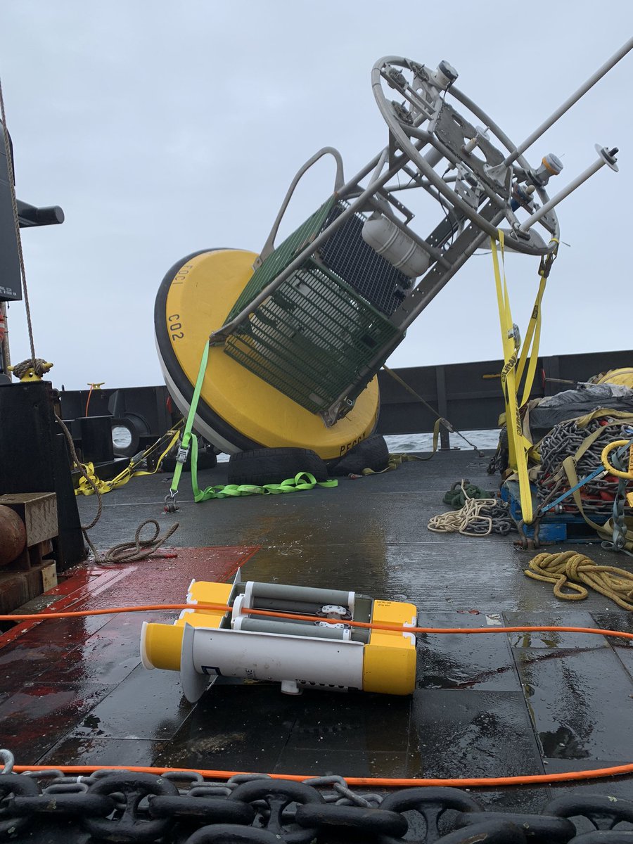 OARC_Alaska's tweet photo. Peggy’s mooring line holds a @mclanelabs #Prawler. This profiling instrument uses wave energy to crawl up the line to measure temperature, salinity, fluorescence, and oxygen throughout the water column.
https://t.co/vk0wkRlPo2
#DY2306 #PMEL #TELOS #Oceanography https://t.co/pvYGkkicwh