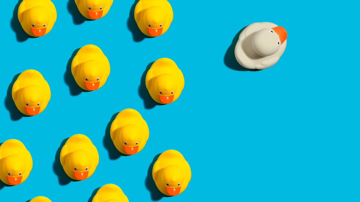 Don't blend in with the crowd, stand out - Be an Odd Duck!
Trust us... It's better that way!

oddduckmedia.com
#oddduckmedia #oddduck #beanoddduck #payperclick #digitalmarketing #network #sabusiness #seo #brandidentity #smallbusiness #digitalmarketingagency #socialmedia