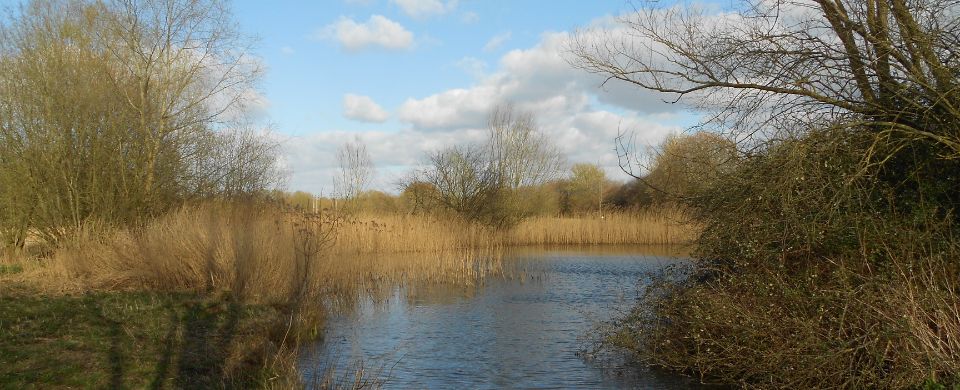 ARochaUK's tweet photo. Did you know that our Target 25 project covers three of the four key habitats featured in the recent BBC #BBCWildIsles?

https://t.co/qzwutDsBpx https://t.co/rHOTmrBddp