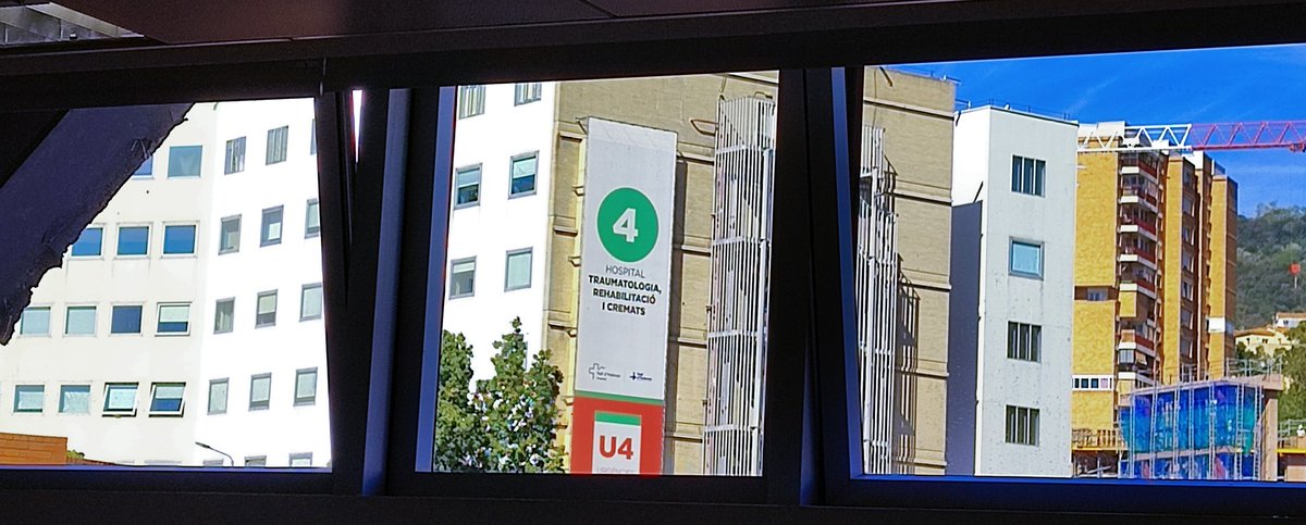 Laura Vidal tweet media