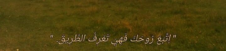 Merve Erkan tweet media