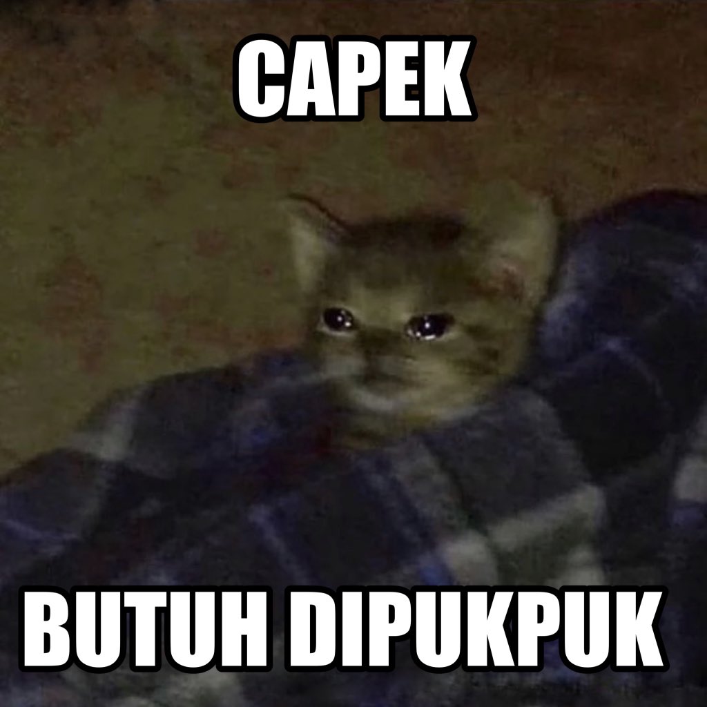 alpokatmentega's tweet photo. me right now: https://t.co/OvtFwM8hj0
