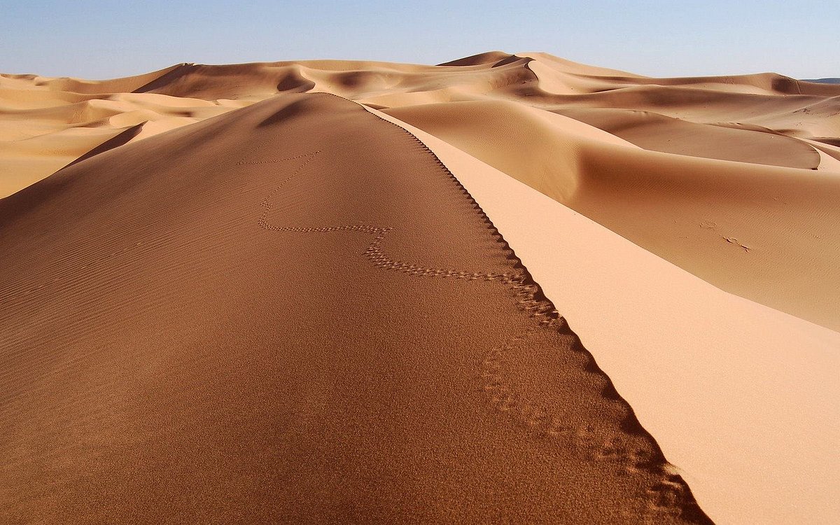 ViewsArabic's tweet photo. Tamenrasset #Algerie #algeria #sahara https://t.co/fGDrq7Neob