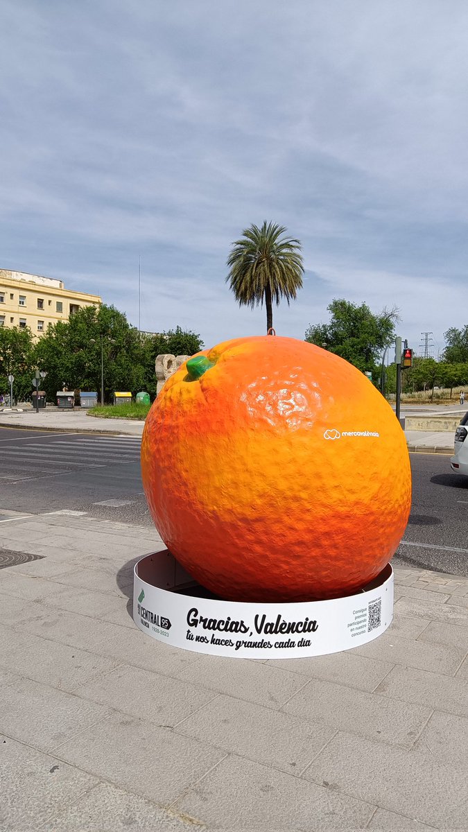 Debascrap's tweet photo. @AjuntamentVLC @Sissel_ms_vlc @MCentralVlc @Mercavalencia1 @regidoriacomerc @HortalimentaVLC @consellhorta @vlcclimaenergia @HortadeValencia @confemercats @ConfecomercCV @FedVeinalVLC @TurismeVlc @Valenciaturismo Tengo una! #HortAttack https://t.co/O3pd5KkH4p