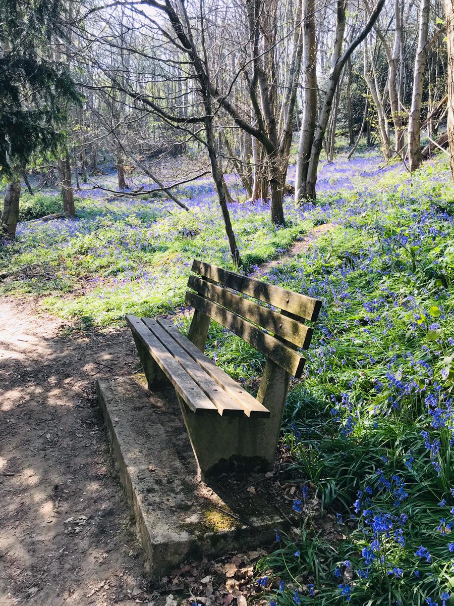 Standen NT tweet media