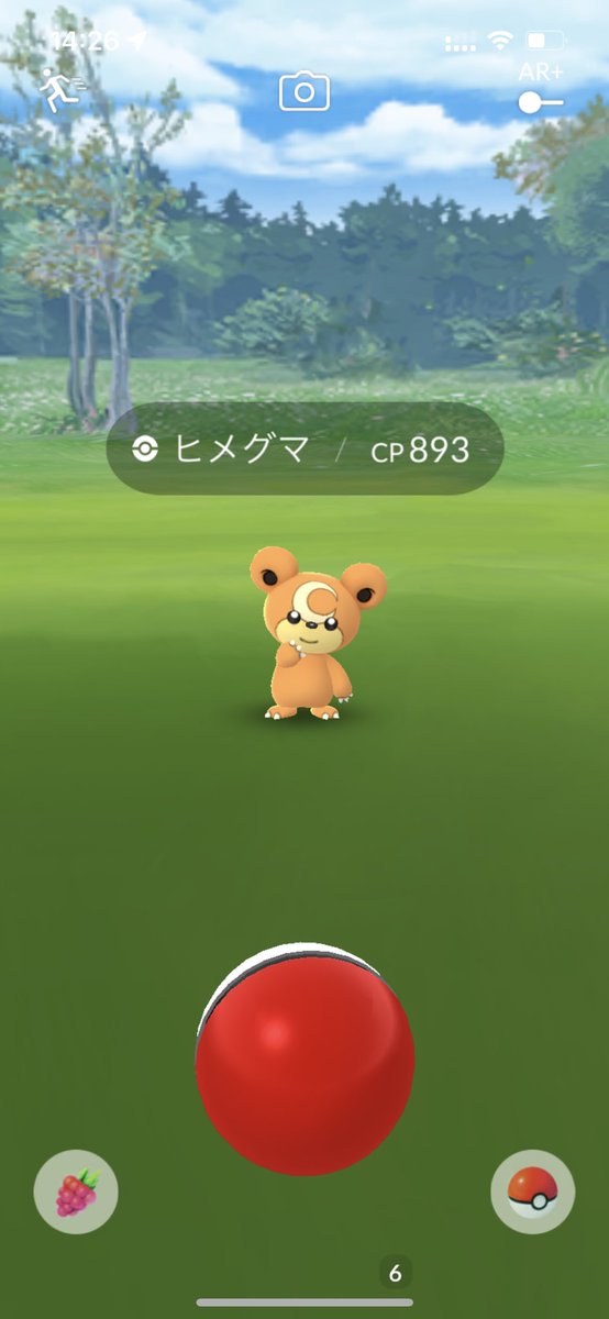grogrogr's tweet photo. ヤ〇ザのヒメグマに出会った https://t.co/sKNKLtljMZ