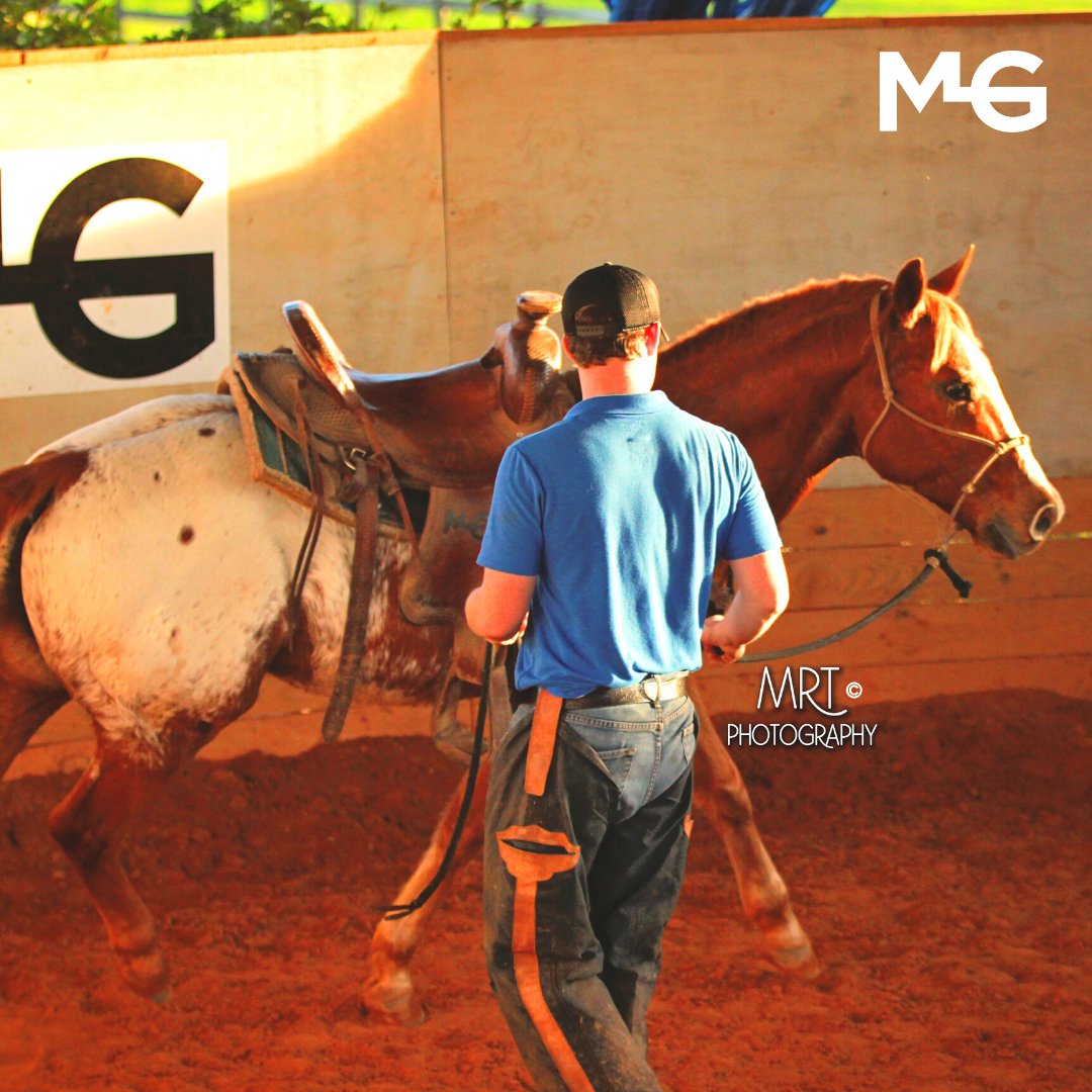 gethorsehelp's tweet photo. Have you noticed all of the quick video tips we’re posting out every day?? Tell me what you think about them!

#horsetraining #gasconhorsemanship #horsemanship #naturalhorsemanship #traininghelp #horsehelp #trainingcourses https://t.co/eL0XVw0S7U