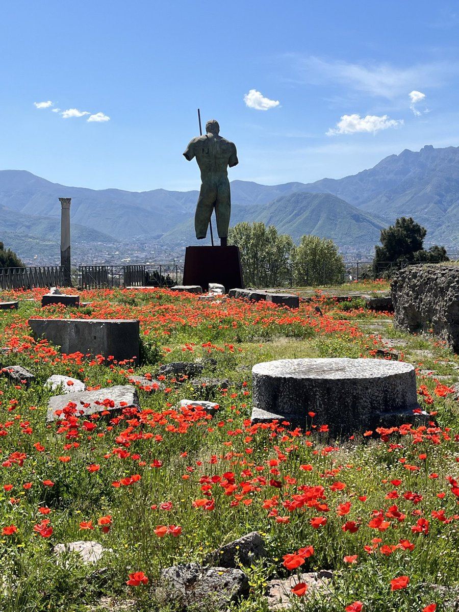 Ruins of the Sanctuary of Venus at #Pompeii, carpeted with poppies.

#Archaeology