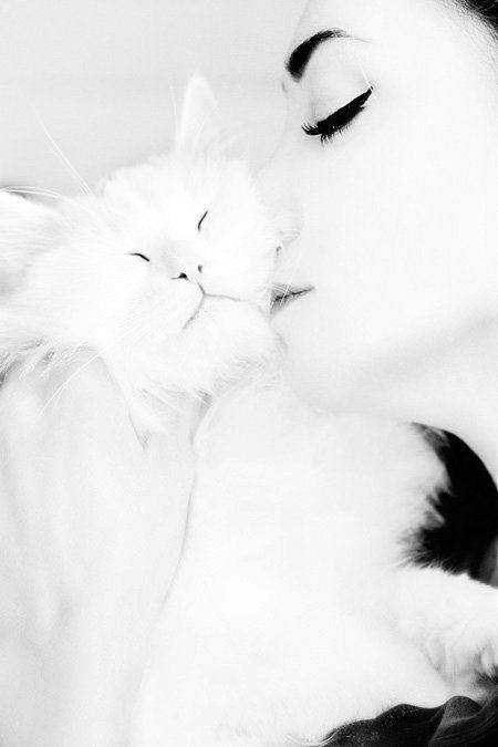 ☽❩ Ꮶҽ†zʌηʌlψ tweet media