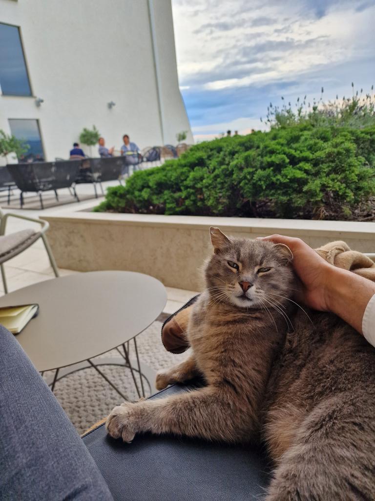 badr_nlp's tweet image. Best part of #EACL2023