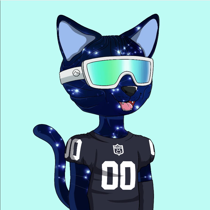 Day 3 <a href="/nudiecommunity/">NUDIE COMMUNITY</a> appreciation!

This is my personal grail Nudie, took me quite a while to snag this jersey(reminds me of The Raiders!) and I LOVVEE the ski goggles, and snagged one of the rarest skins as well. 
When the trait swapping rolled around I was able to put them all