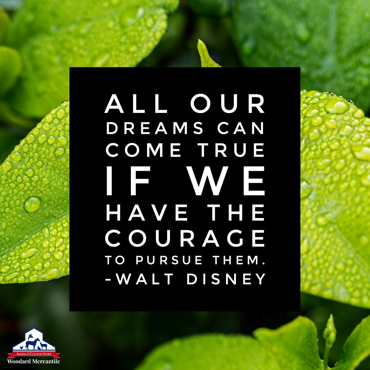 WoodMerc's tweet photo. #wisdomwednesday  #woodardmercantile  #dreambig https://t.co/ad1cfiRjUG
