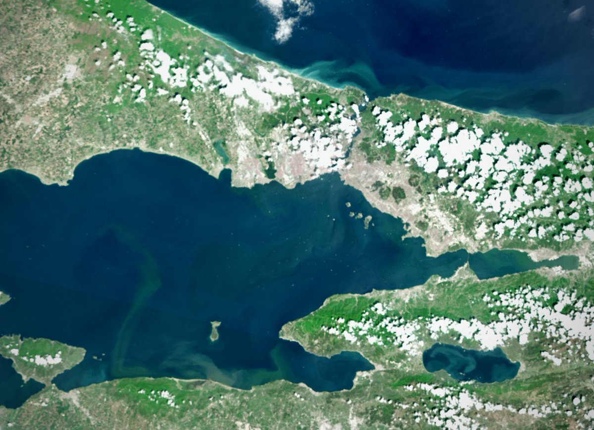 Nisan yağışlarından sonra #Marmara Denizi'ne taşınan tortularla artan plankton ve neden olduğu klorofil kaynaklı renk değişiminin körfezlerden yayılımı... 🟢
📷 30 Nisan --> 🛰️ Sentinel3 🛰️