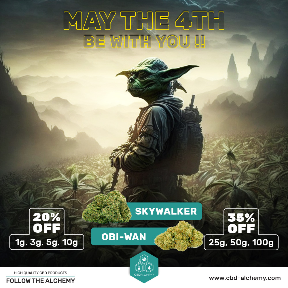 CBDAlchemy_'s tweet photo. May the 4th be with you! 💫

Celebrate and save with 20% and 35% OFF on Skywalker and Obiwan strains! 🌿

Get them now on : https://t.co/eX1e3apdpL

*Discounts vary based on quantity.

#AlchemyJedi #CBDAlchemy #MayThe4thBeWithYou #StarWars  #Jedi #Force #Jedi #JediSurvivor https://t.co/GhVquhEExt