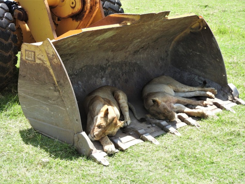 Field Farm Tours Ltd tweet media