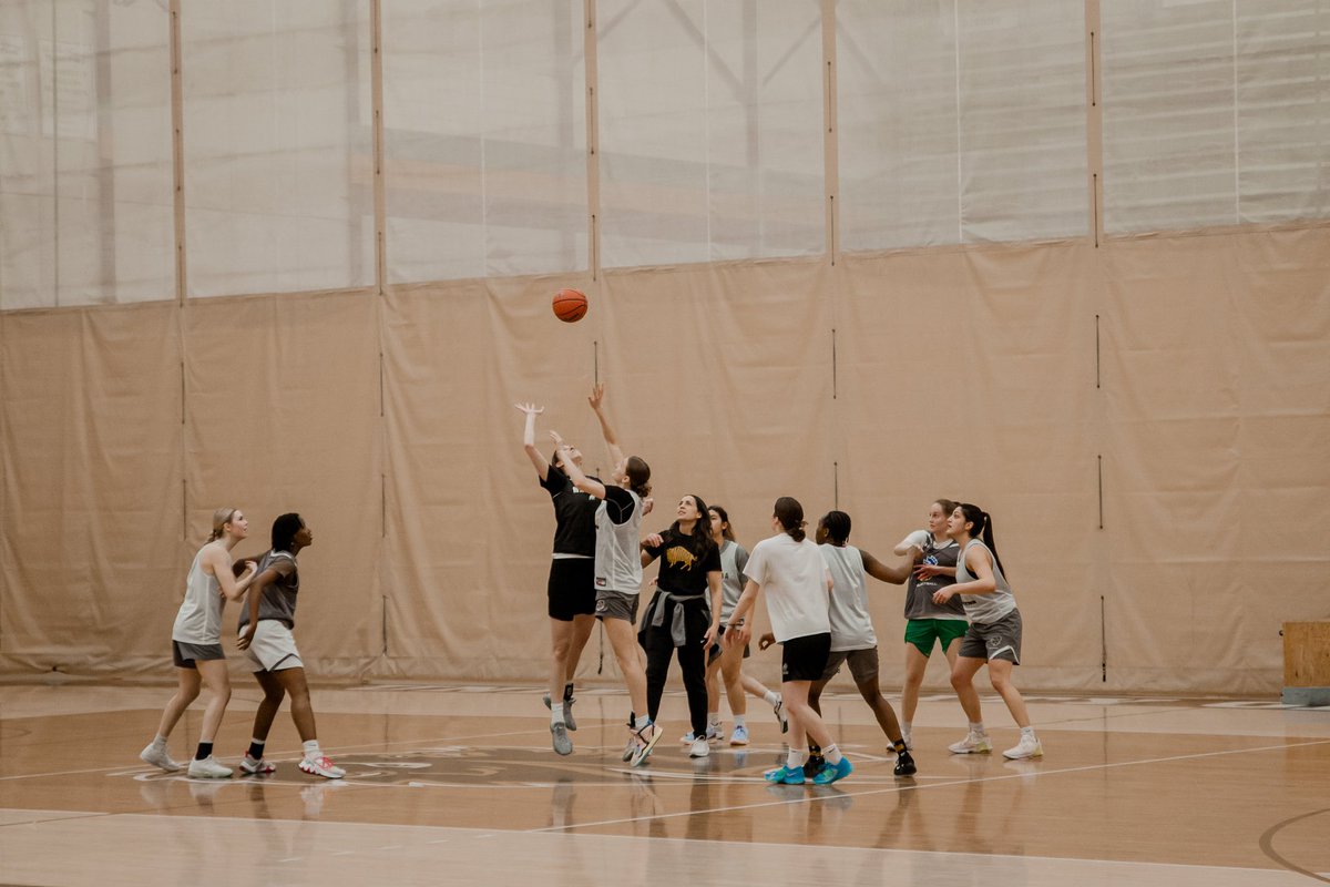 Manitoba Bisons 🦬 tweet media
