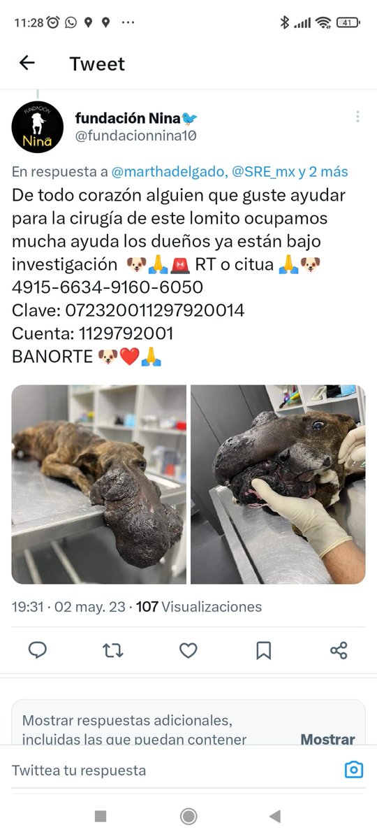 ASHcomUY's tweet photo. Atención MEXICO, el caso de Rafaela es un caso de nuestra organización, Uruguay!!
@fundacionnina10 no tiene que ver con nosotros y está solicitando dinero.!!! https://t.co/yam0sDRd7x