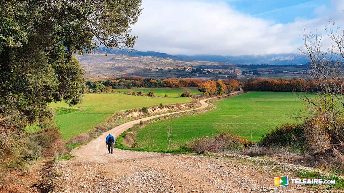 martineznotte's tweet photo. Te contamos todo sobre la 6º etapa del #CaminoDelSantoGrial 🍷 dónde visitamos #Loarre, el #castillorománico  mejor conservado de #Europa 🏰y el #castillofortificado más antiguo de #España y la Ermita de la Virgen de #Anies 🇪🇸 hasta llegar a #Bolea👉 https://t.co/vLClWzsNKg https://t.co/xiRdwGIOMH