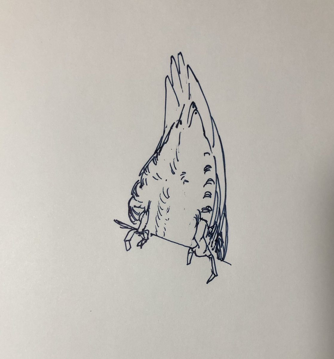 @catnipkazu なんの根拠があって人を疑うんですか💢 
