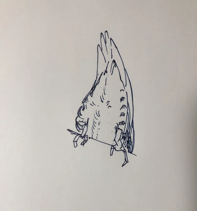 @catnipkazu なんの根拠があって人を疑うんですか💢 