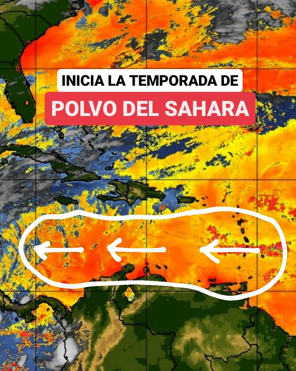 JeanSuriel's tweet photo. 🔴ATENCIÓN🔴
Esta no es una buena noticia: inicia la temporada de polvo del Sahara en República Dominicana, la cual se extenderá hasta finales de septiembre con un pico de la actividad entre junio y agosto.

Pero, ¿por qué llegan esas partículas a la región del Caribe?

Sigue ⬇️ https://t.co/EorDeM0loc