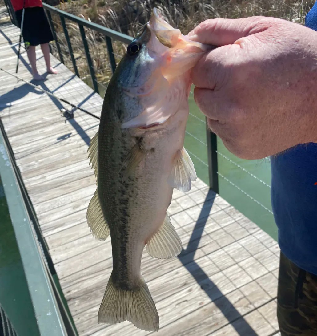 Hey fishermen! 🎣
Did you know you can fish right off of our docks?!😍 
Call us today and book your stay! 580-223-0088 or check out our website for more info and availability 
lakemurrayfloatingcabins.com
(Photo taken by our guest Angela Michele)