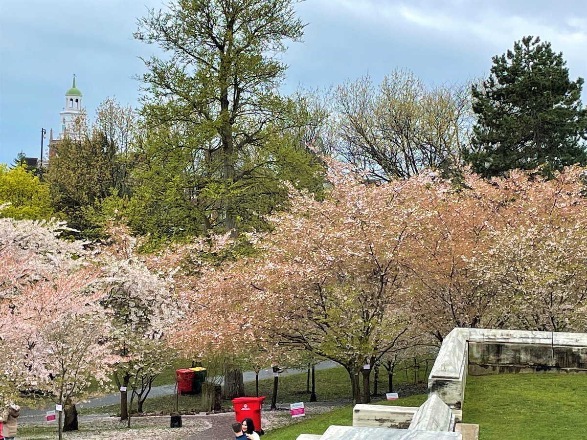 Japan Consulate NY 総領事館 tweet media